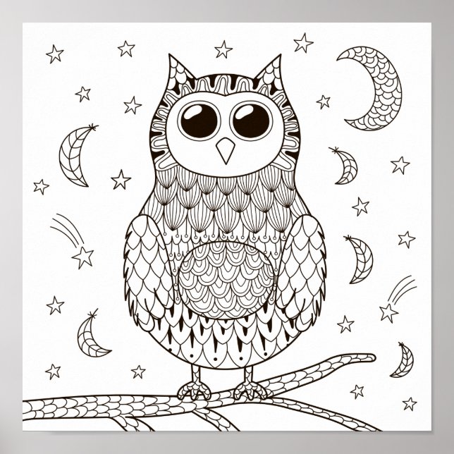 Coloring Page Owl Under the Moon Poster (Front)
