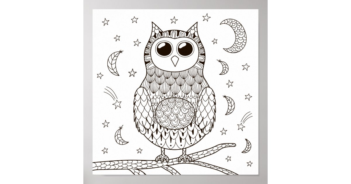 Coloring Page Owl Under the Moon Poster Zazzle