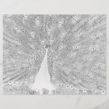 Coloring Page - Peacock with Fanned Tail