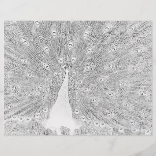 Coloring Page - Peacock with Fanned Tail