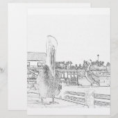 Coloring Page - Pelicans on Pier (Front/Back)