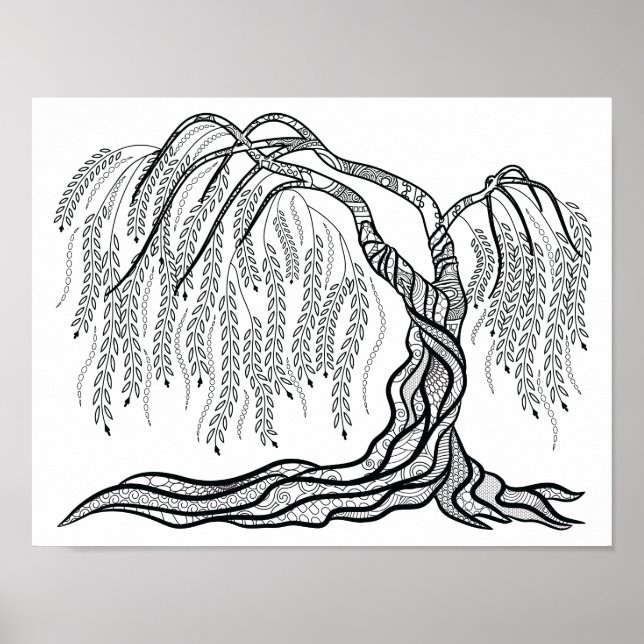 Coloring Weeping Willow Tree Poster (Front)