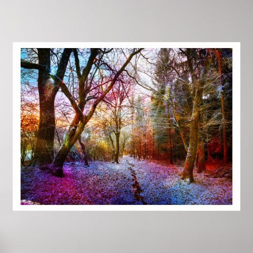 Colorized Forest Winter Landscape Poster