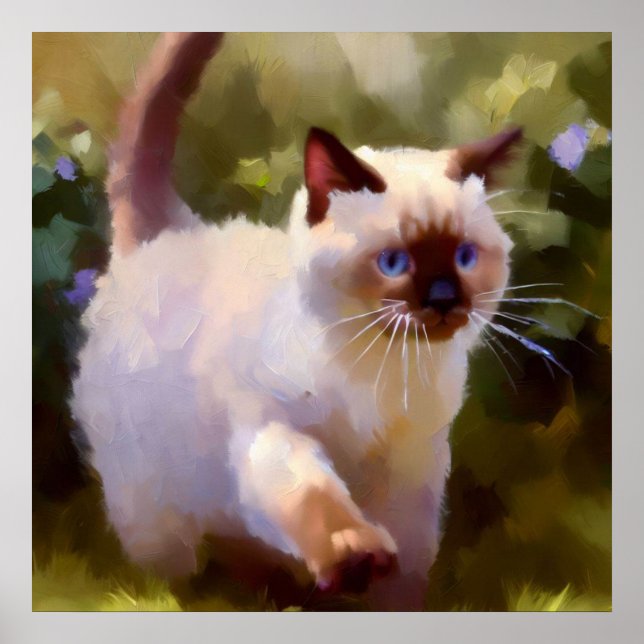 Colorpoint Shorthair Cat  Poster (Front)
