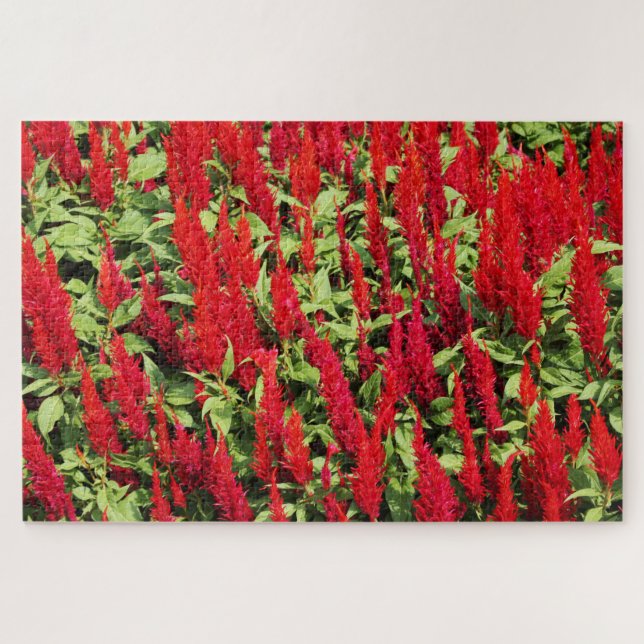 Colors 1 jigsaw puzzle (Horizontal)