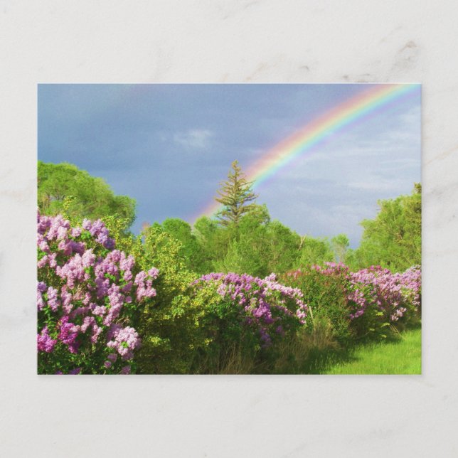 colors in nature card (Front)