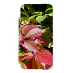 Colors iPhone SE/5/5s Wallet Case