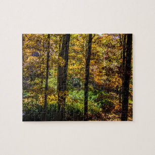 Colors of Autumn Jigsaw Puzzle