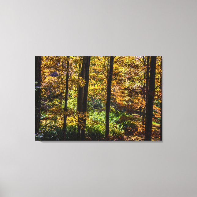 Colors of Autumn Landscape Canvas Print (Front)