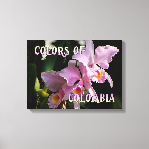 Colors of Colombia Cattleya Orchid Canvas Print