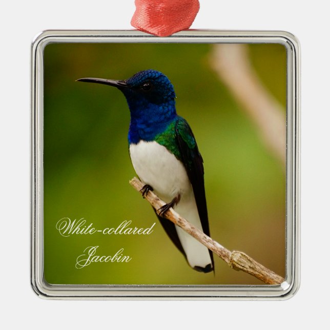 Colors of Contemplation Square Ornament (Front)