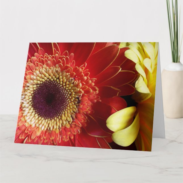 Colors of Gerberas Card (Front)
