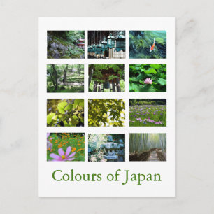 Colors of Japan (green) Postcard