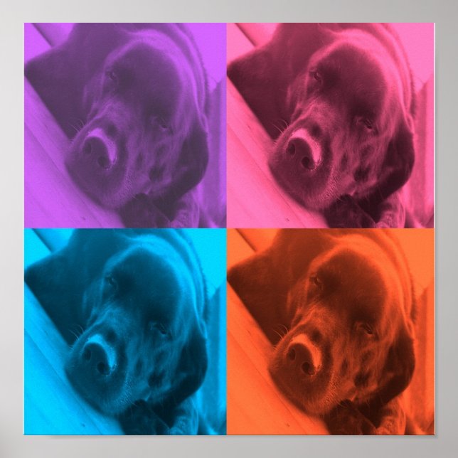 colors of Lab poster (Front)