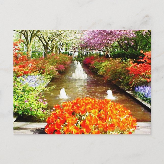 Colors of Life Postcard (Front)