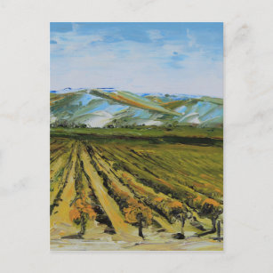 Colors of Napa Valley, Wine Country California Postcard