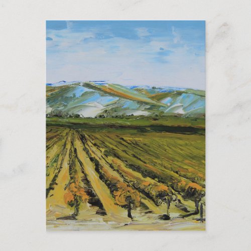 Colors of Napa Valley Wine Country California Postcard
