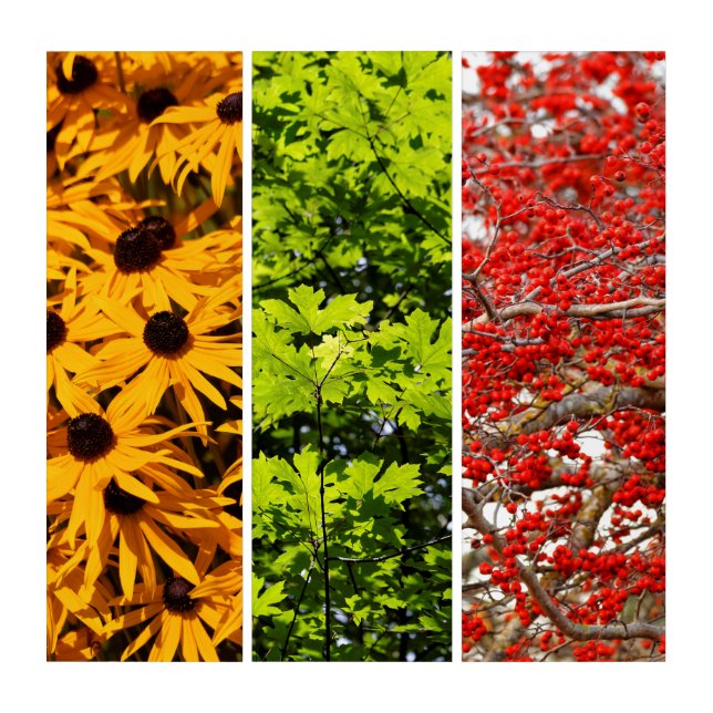 Colors of Nature Triptych (Front)