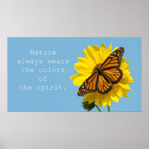 Colors of Spirit Poster