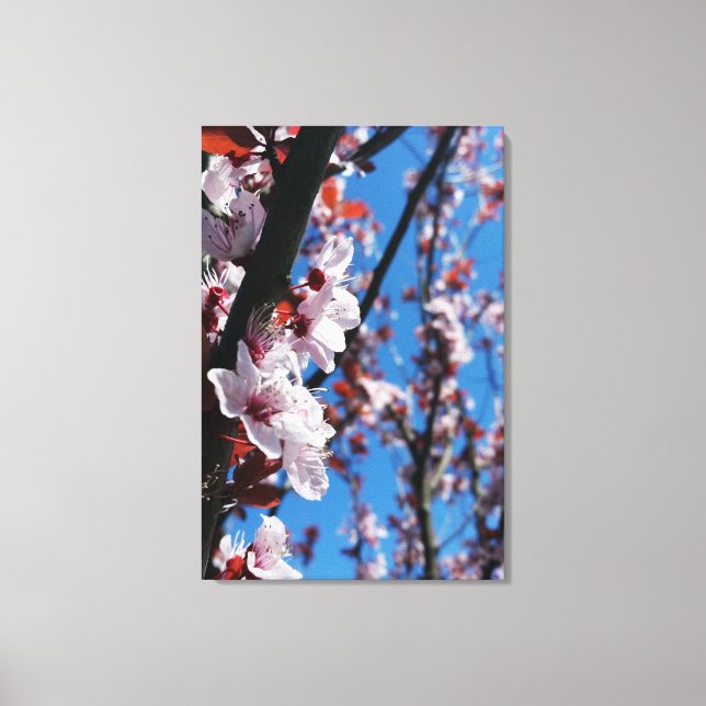 Colors of spring canvas print (Front)
