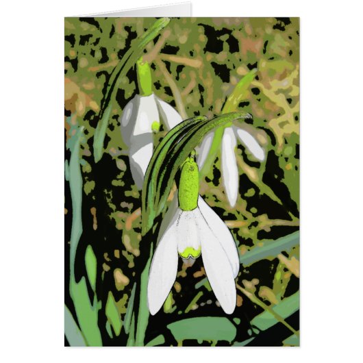 Colors of Spring Cards (Front)