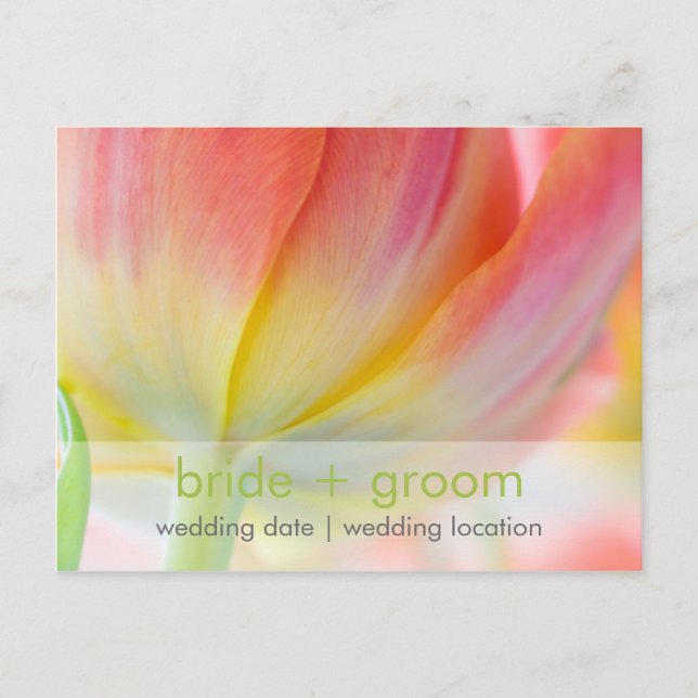 Colors of Spring • Save the Date Postcard (Front)