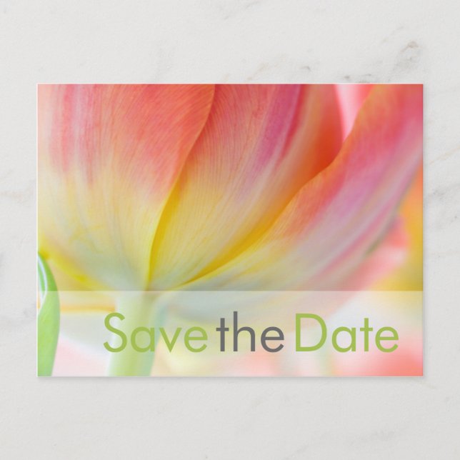 Colors of Spring • Save the Date Postcard (Front)