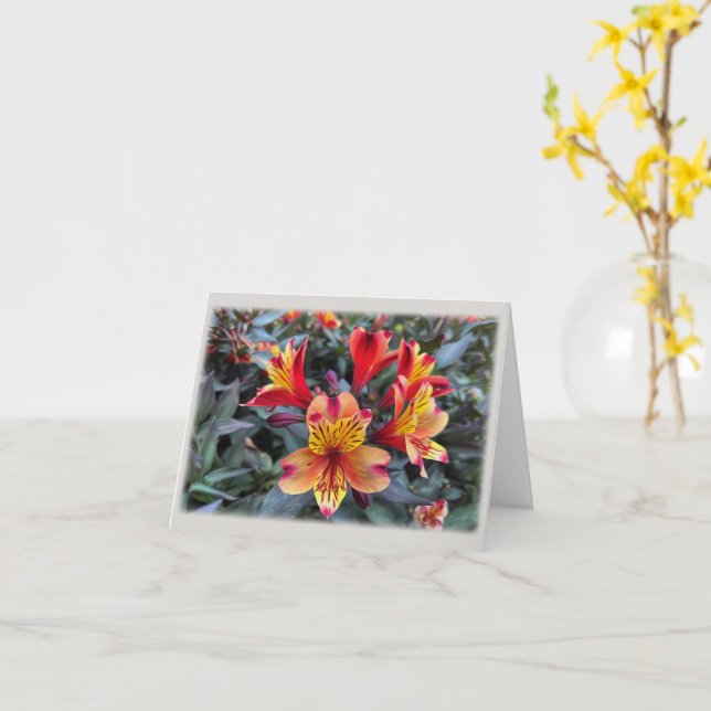 Colors of summer card (Yellow Flower)