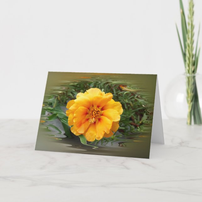 Colors of summer card (Front)