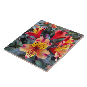 Colors of summer ceramic tile
