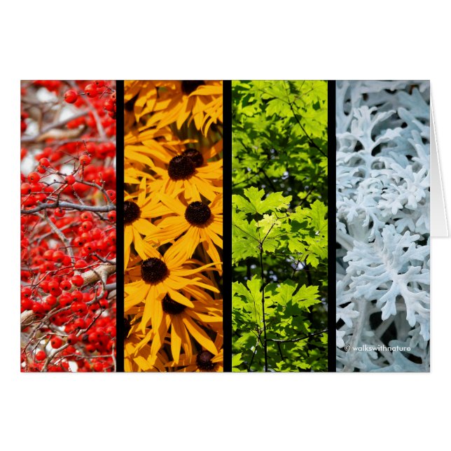 Colors of the Changing Seasons Quadriptych Cards (Front Horizontal)