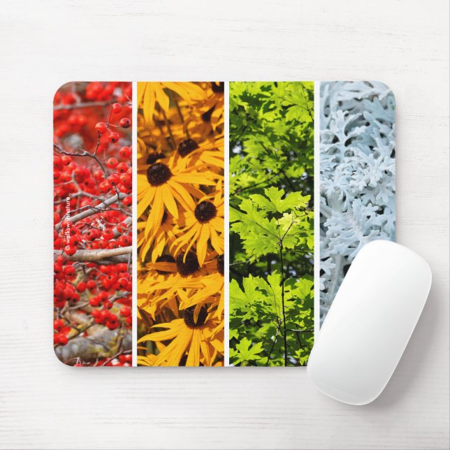 Colors of the Changing Seasons Quadriptych Mouse Pad (With Mouse)