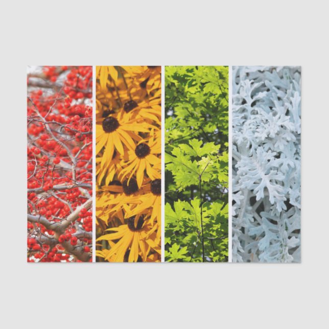 Colors of the Changing Seasons Quadriptych Tissue Paper (Front)
