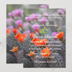 Colors of the desert cactus blooms background invitation