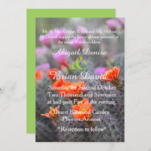 Colors of the desert green background