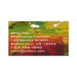 Colors of the Maple Leaf Autumn Nature Photography Business Card