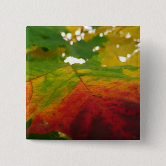 Colors of the Maple Leaf Autumn Nature Photography Button (Front)