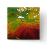 Colors of the Maple Leaf Autumn Nature Photography Button