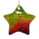 Colors of the Maple Leaf Autumn Nature Photography Ceramic Ornament