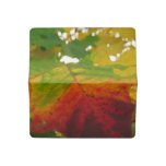 Colors of the Maple Leaf Autumn Nature Photography Checkbook Cover
