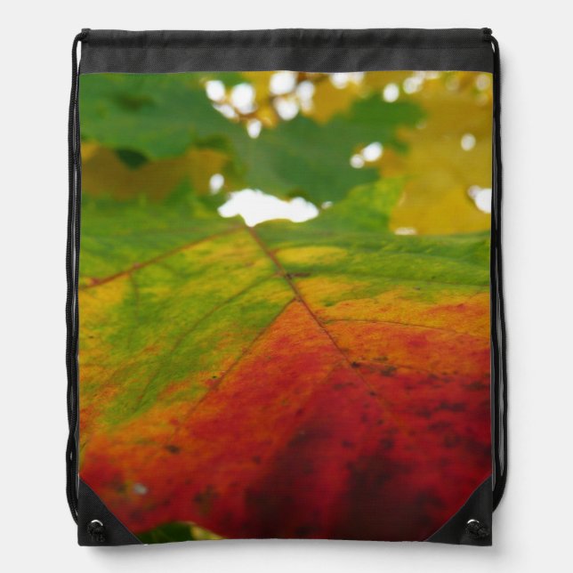 Colors of the Maple Leaf Autumn Nature Photography Drawstring Bag (Front)