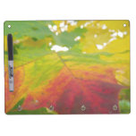 Colors of the Maple Leaf Autumn Nature Photography Dry Erase Board With Keychain Holder