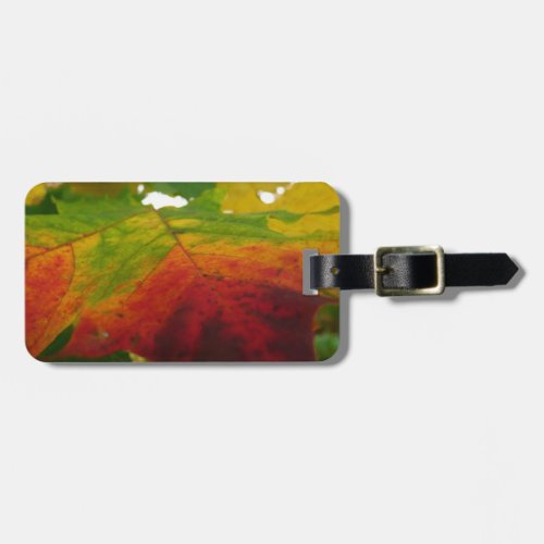 Colors of the Maple Leaf Autumn Nature Photography Luggage Tag