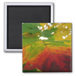 Colors of the Maple Leaf Autumn Nature Photography Magnet