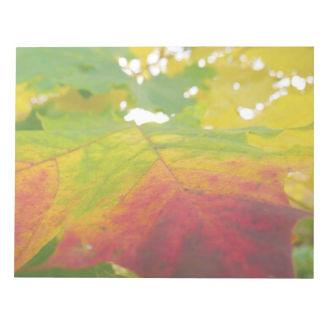 Colors of the Maple Leaf Autumn Nature Photography Notepad (Front)
