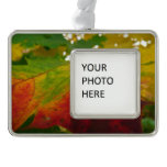 Colors of the Maple Leaf Autumn Nature Photography Ornament