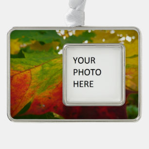 Colors of the Maple Leaf Autumn Nature Photography Ornament