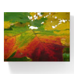Colors of the Maple Leaf Autumn Nature Photography Paperweight