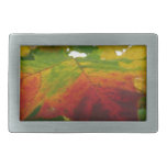 Colors of the Maple Leaf Autumn Nature Photography Rectangular Belt Buckle