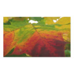 Colors of the Maple Leaf Autumn Nature Photography Rectangular Sticker